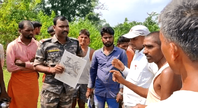 लातेहार में दो व्यक्ति एवं एक पशु की कुचलकर जान ले ली