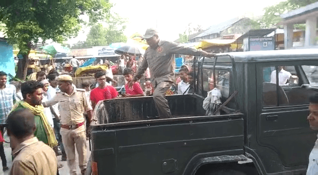 दोस्तों के साथ बाघ देखने गया था किशोर..जंगल में बाघ ने ही शिकार बना लिया.