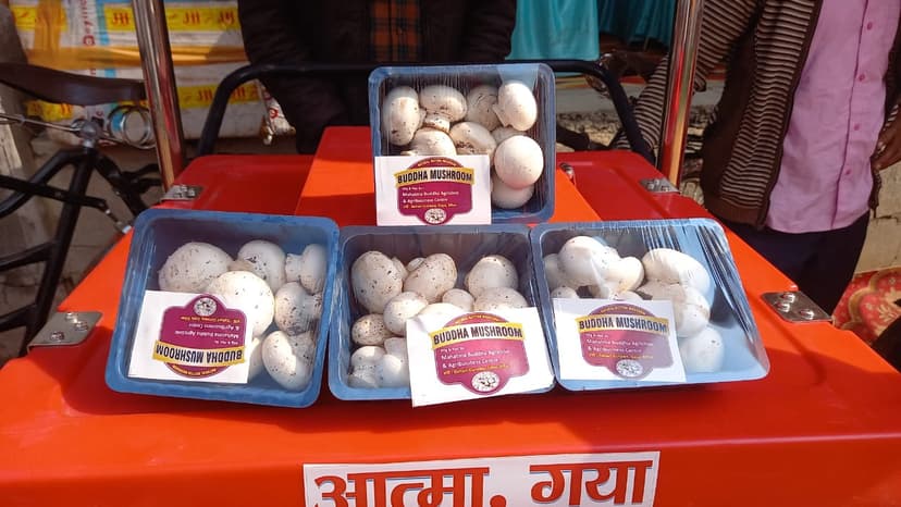 शुरू हुई अनोखी पहल, सखी और मित्र को मिली बड़ी जिम्मेदारी