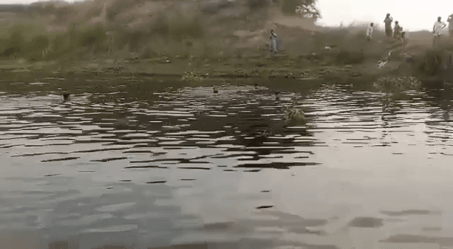 MOTIHARI में सेल्फी के चक्कर में तीन किशोर डूबे..मचा हड़कंप..
