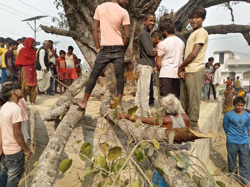 स्कूल में छात्र कर रहे थे प्रार्थना,तभी पेड़ की मोटी डाली टूट कर गिर पड़ी, फिर..