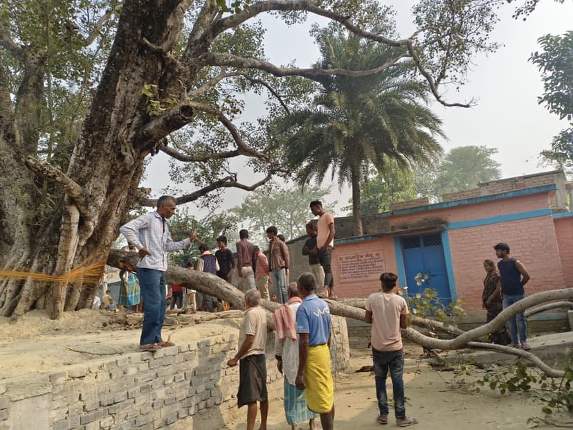 स्कूल में छात्र कर रहे थे प्रार्थना,तभी पेड़ की मोटी डाली टूट कर गिर पड़ी, फिर..