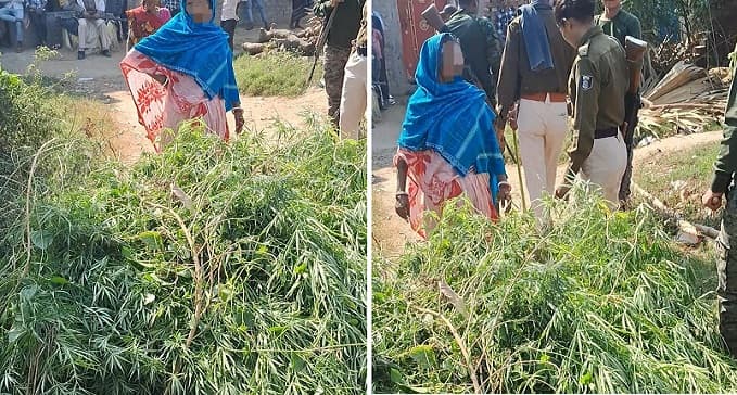 2 किलो गांजा के साथ तीन गिरफ्तार, किंगपिन की तलाश में जुटी पुलिस