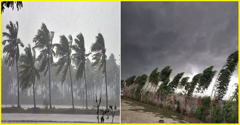 अगले 2 से 3 घंटों में इन जिलों में होगी भारी बारिश, मौसम विभाग का अलर्ट, वज्रपात की भी जारी की चेतावनी