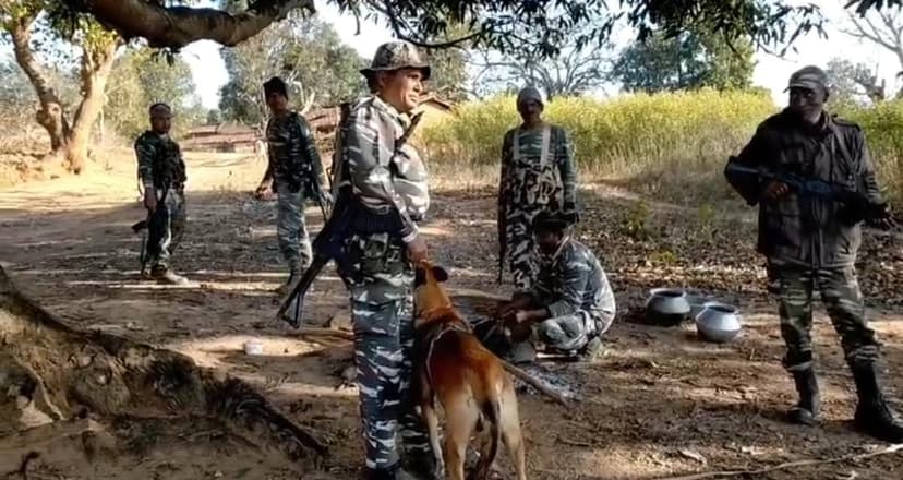 जंगलों में सर्च और छापेमारी लगातार जारी
