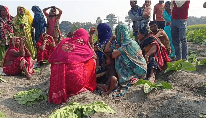 समस्तीपुर में असामाजिक तत्वों ने डेढ़ बीघा में फसल की नष्ट, किसान को आठ से दस लाख रुपए का नुकसान